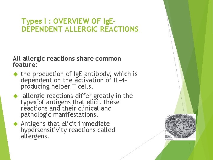 Types I : OVERVIEW OF Ig. EDEPENDENT ALLERGIC REACTIONS All allergic reactions share common