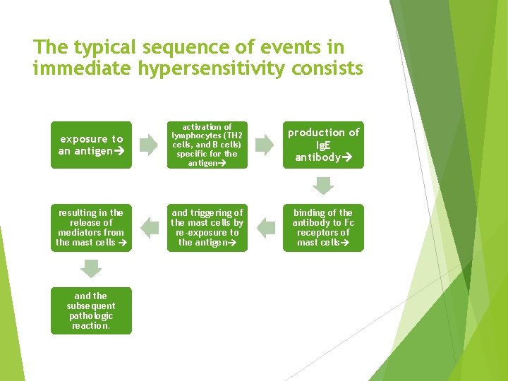 The typical sequence of events in immediate hypersensitivity consists exposure to an antigen activation