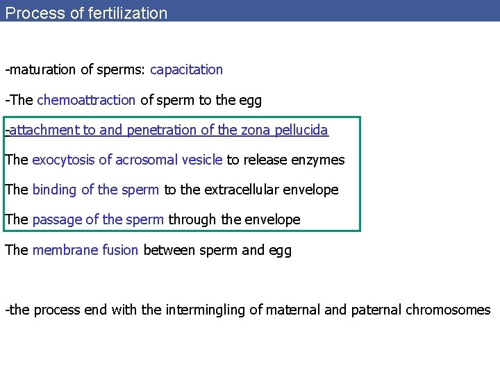 Process of fertilization -maturation of sperms: capacitation -The chemoattraction of sperm to the egg