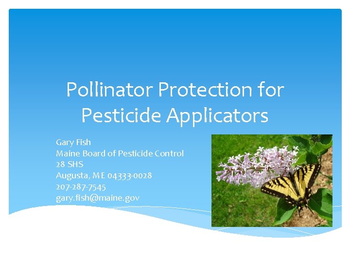 Pollinator Protection for Pesticide Applicators Gary Fish Maine Board of Pesticide Control 28 SHS