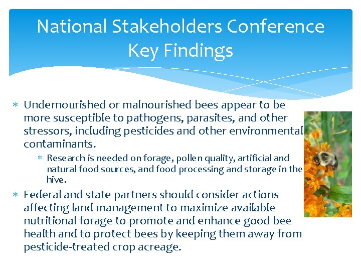 National Stakeholders Conference Key Findings Undernourished or malnourished bees appear to be more susceptible National Stakeholders Conference Key Findings Undernourished or malnourished bees appear to be more susceptible