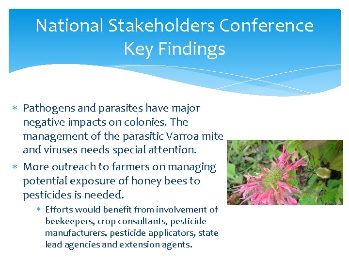 National Stakeholders Conference Key Findings Pathogens and parasites have major negative impacts on colonies.