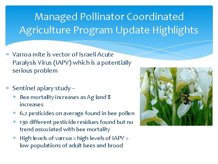 Managed Pollinator Coordinated Agriculture Program Update Highlights Varroa mite is vector of Israeli Acute