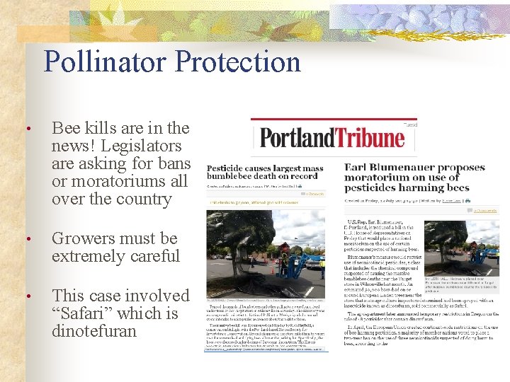 Pollinator Protection • Bee kills are in the news! Legislators are asking for bans Pollinator Protection • Bee kills are in the news! Legislators are asking for bans