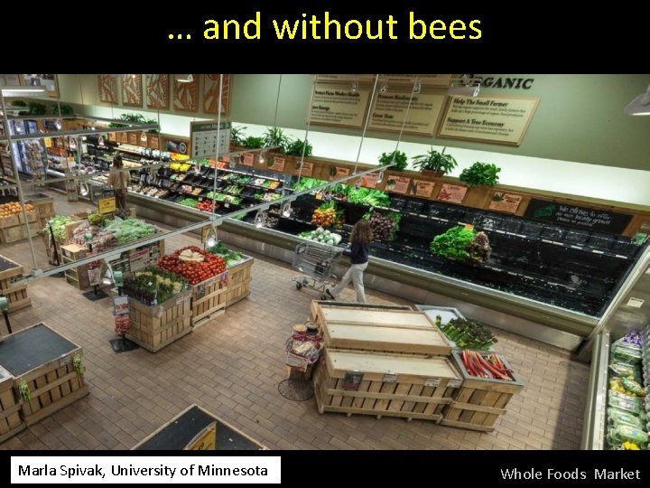 … and without bees Marla Spivak, University of Minnesota Whole Foods Market 