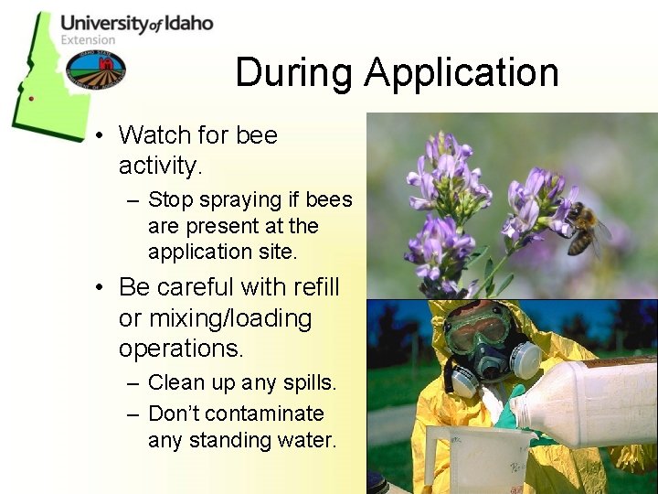 During Application • Watch for bee activity. – Stop spraying if bees are present