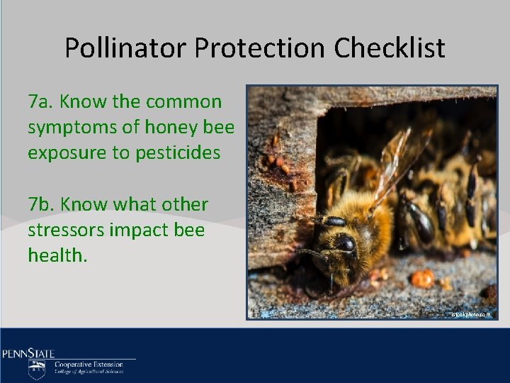 Pollinator Click to edit Protection Master title Checklist style 7 a. Knowtothe common • Pollinator Click to edit Protection Master title Checklist style 7 a. Knowtothe common •