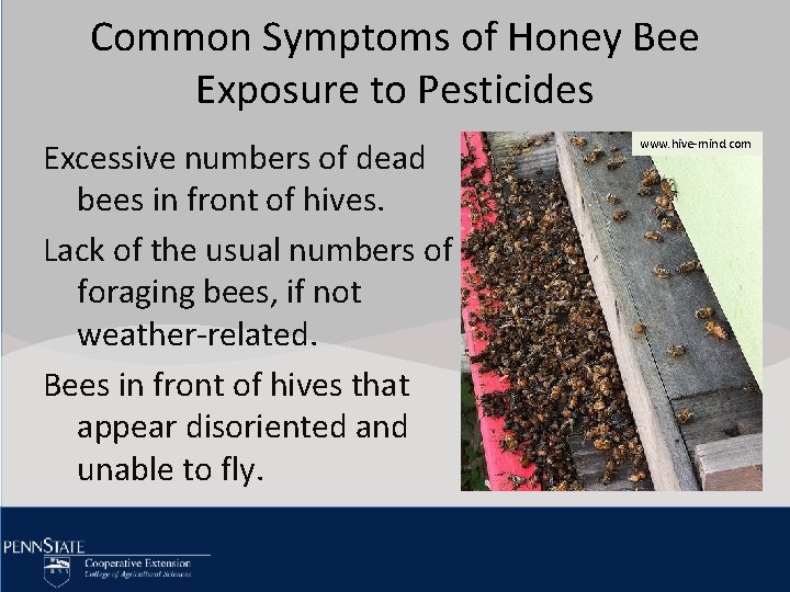 Common Symptoms of Honey Bee Click. Exposure to edit Master title style to Pesticides