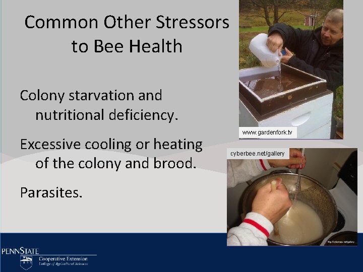 Common Other Stressors Click to edit Master title style to Bee Health • Click