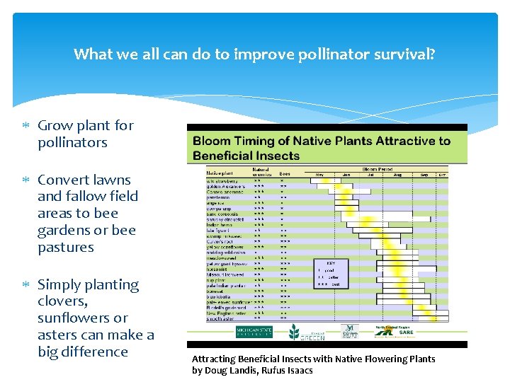 What we all can do to improve pollinator survival? Grow plant for pollinators Convert What we all can do to improve pollinator survival? Grow plant for pollinators Convert