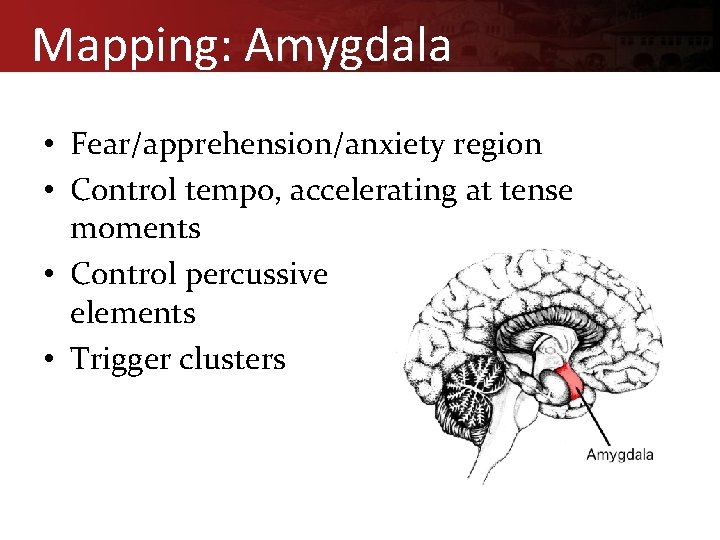 Mapping: Amygdala • Fear/apprehension/anxiety region • Control tempo, accelerating at tense moments • Control