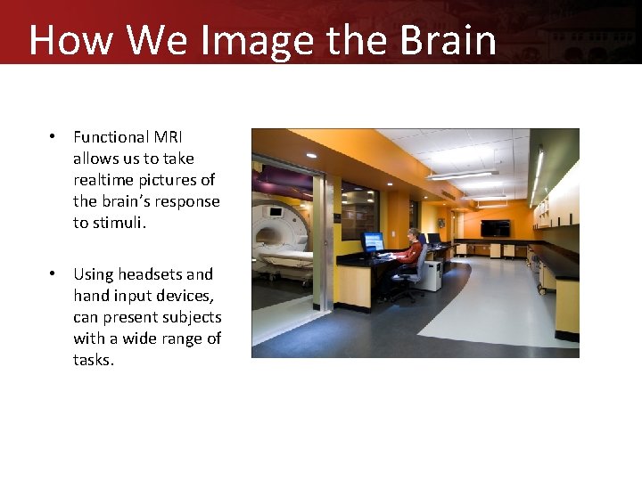 How We Image the Brain • Functional MRI allows us to take realtime pictures