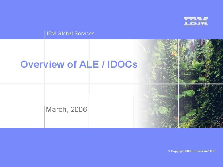 IBM Global Services Overview of ALE / IDOCs March, 2006 © Copyright IBM Corporation