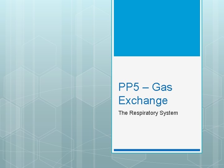 PP 5 – Gas Exchange The Respiratory System 
