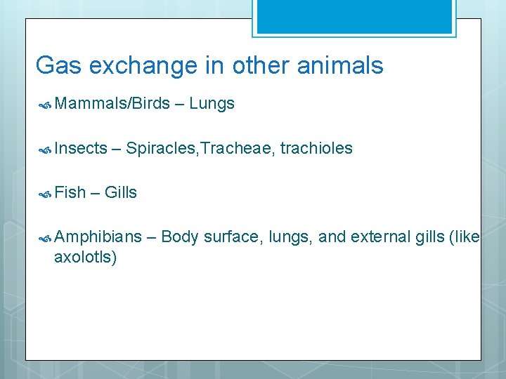 Gas exchange in other animals Mammals/Birds Insects Fish – Lungs – Spiracles, Tracheae, trachioles