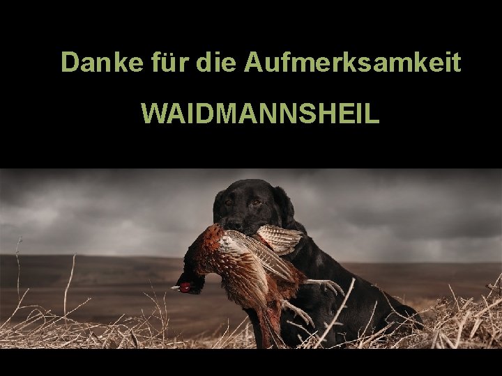 Danke für die Aufmerksamkeit WAIDMANNSHEIL 