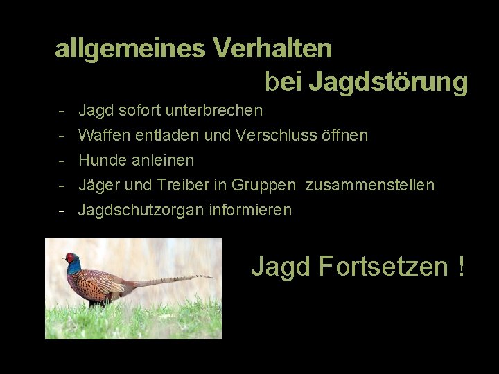 allgemeines Verhalten bei Jagdstörung - Jagd sofort unterbrechen - Waffen entladen und Verschluss öffnen