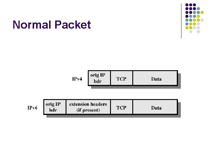 Normal Packet 
