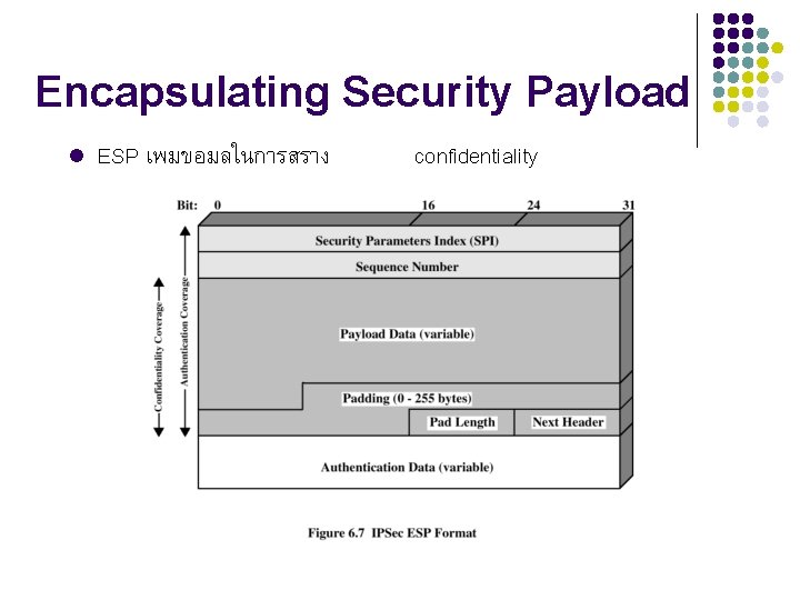 Encapsulating Security Payload l ESP เพมขอมลในการสราง confidentiality 