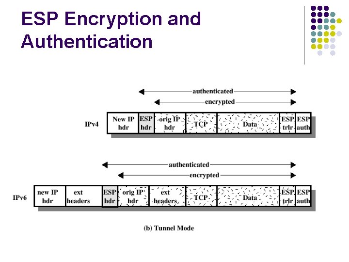 ESP Encryption and Authentication 