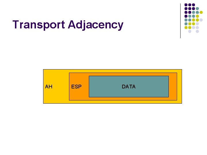 Transport Adjacency AH ESP DATA 