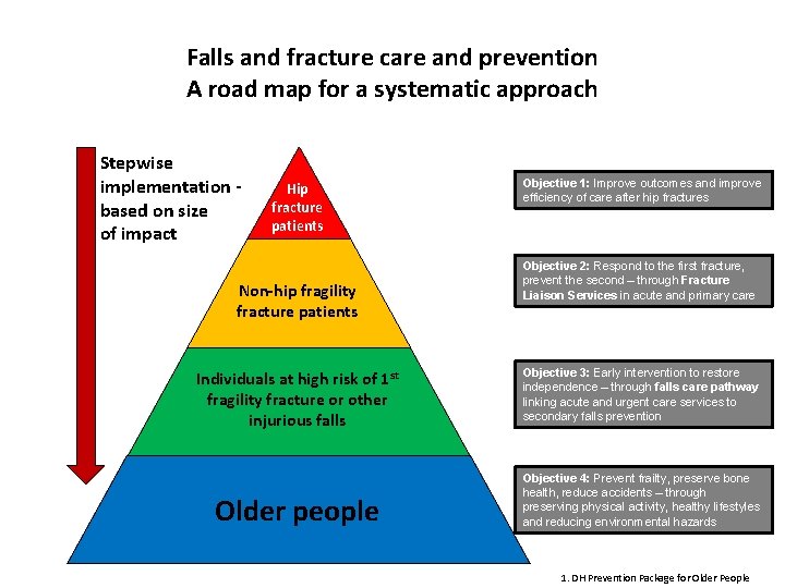 Falls and fracture care and prevention A road map for a systematic approach Stepwise