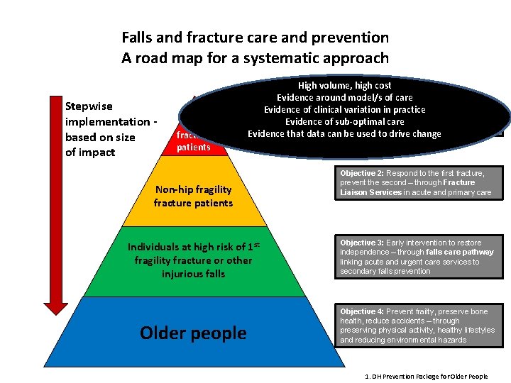 Falls and fracture care and prevention A road map for a systematic approach Stepwise