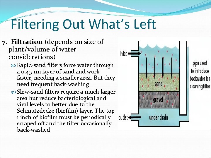 Filtering Out What’s Left 7. Filtration (depends on size of plant/volume of water considerations)