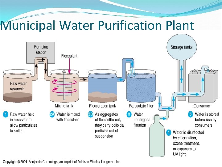 Municipal Water Purification Plant 