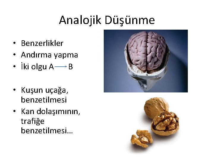 Analojik Düşünme • Benzerlikler • Andırma yapma • İki olgu A B • Kuşun