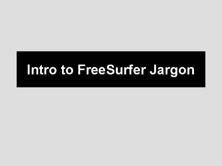 Intro to Free. Surfer Jargon 