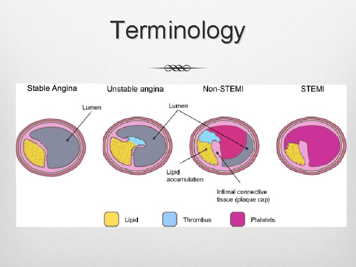 Terminology Terminology