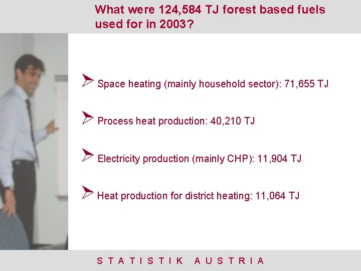 What were 124, 584 TJ forest based fuels used for in 2003? Space heating