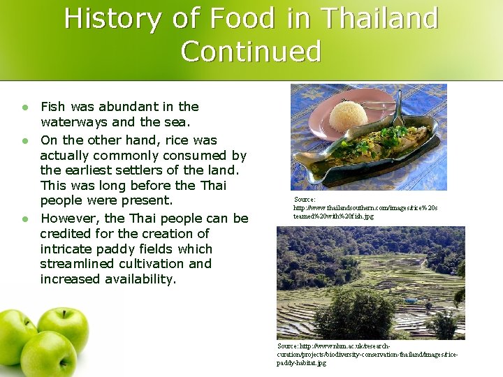 History of Food in Thailand Continued l l l Fish was abundant in the