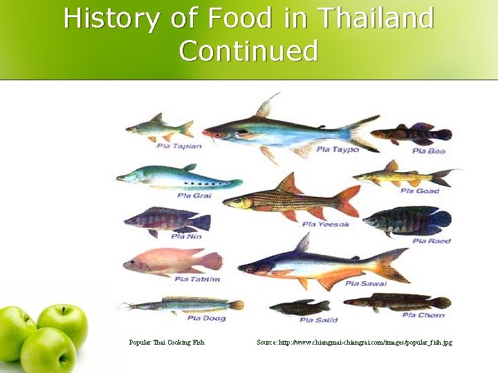 History of Food in Thailand Continued Popular Thai Cooking Fish Source: http: //www. chiangmai-chiangrai.