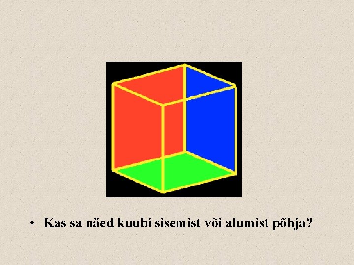  • Kas sa näed kuubi sisemist või alumist põhja? 