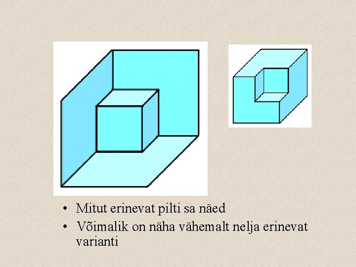  • Mitut erinevat pilti sa näed • Võimalik on näha vähemalt nelja erinevat