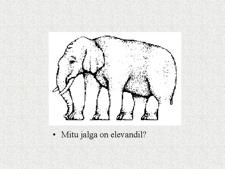  • Mitu jalga on elevandil? 