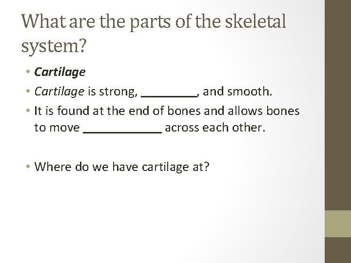 What are the parts of the skeletal system? • Cartilage is strong, , and