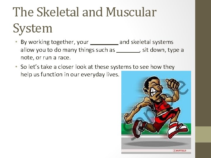 The Skeletal and Muscular System • By working together, your and skeletal systems allow