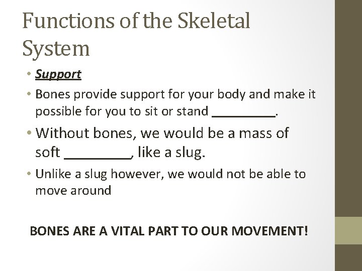 Functions of the Skeletal System • Support • Bones provide support for your body