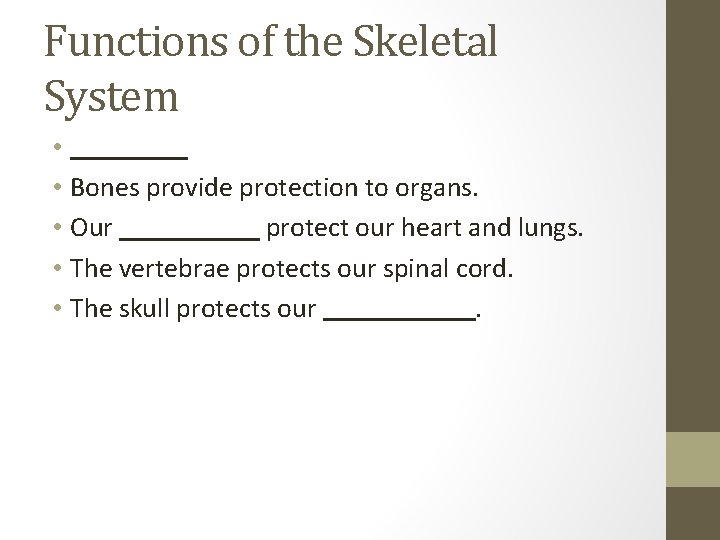 Functions of the Skeletal System • • Bones provide protection to organs. • Our