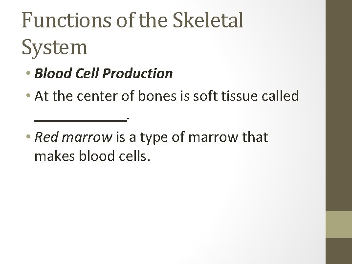 Functions of the Skeletal System • Blood Cell Production • At the center of