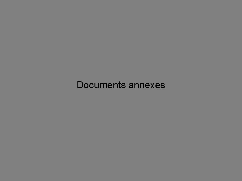 Documents annexes 