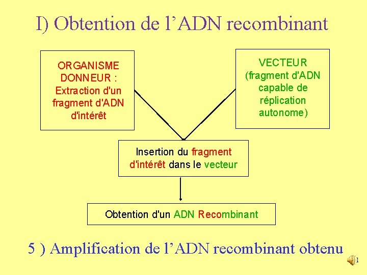 I) Obtention de l’ADN recombinant VECTEUR (fragment d'ADN capable de réplication autonome) ORGANISME DONNEUR