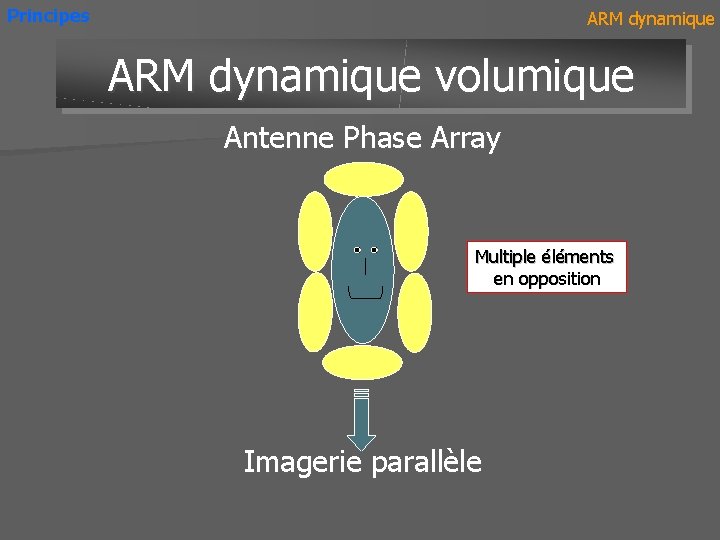 Principes ARM dynamique volumique Antenne Phase Array Multiple éléments en opposition Imagerie parallèle 