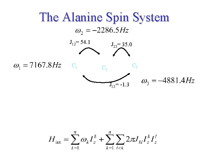 The Alanine Spin System J 12= 54. 1 C 1 J 23= 35. 0