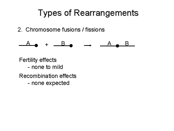 Types of Rearrangements 2. Chromosome fusions / fissions A + B Fertility effects -