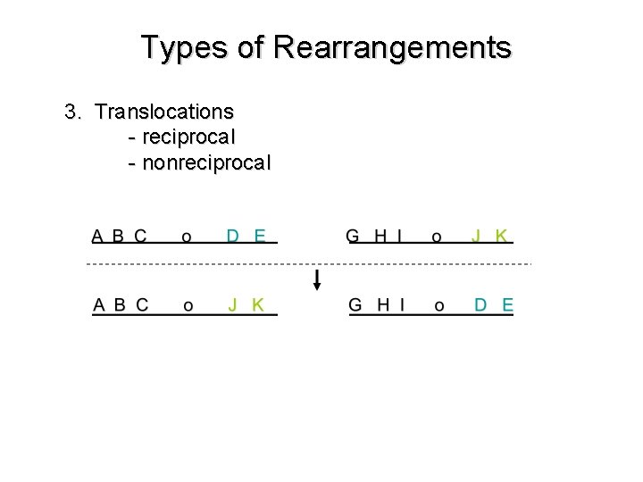 Types of Rearrangements 3. Translocations - reciprocal - nonreciprocal 