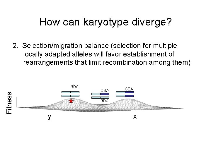 How can karyotype diverge? 2. Selection/migration balance (selection for multiple locally adapted alleles will